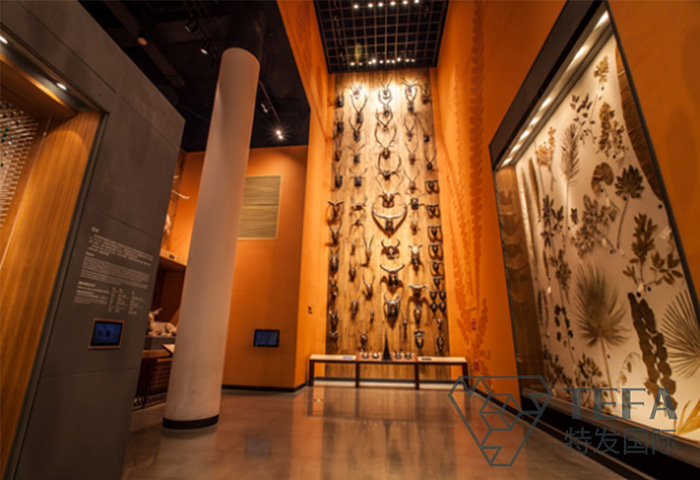 展廳設(shè)計(jì)|展館設(shè)計(jì)|規(guī)劃館設(shè)計(jì)|博物館設(shè)計(jì)|檔案館設(shè)計(jì)|企業(yè)展廳設(shè)計(jì)|主題游樂館設(shè)計(jì)|校園文化館設(shè)計(jì)|文博館設(shè)計(jì)|多媒體展廳|展廳展館設(shè)計(jì)施工公司|特發(fā)國際|特發(fā)